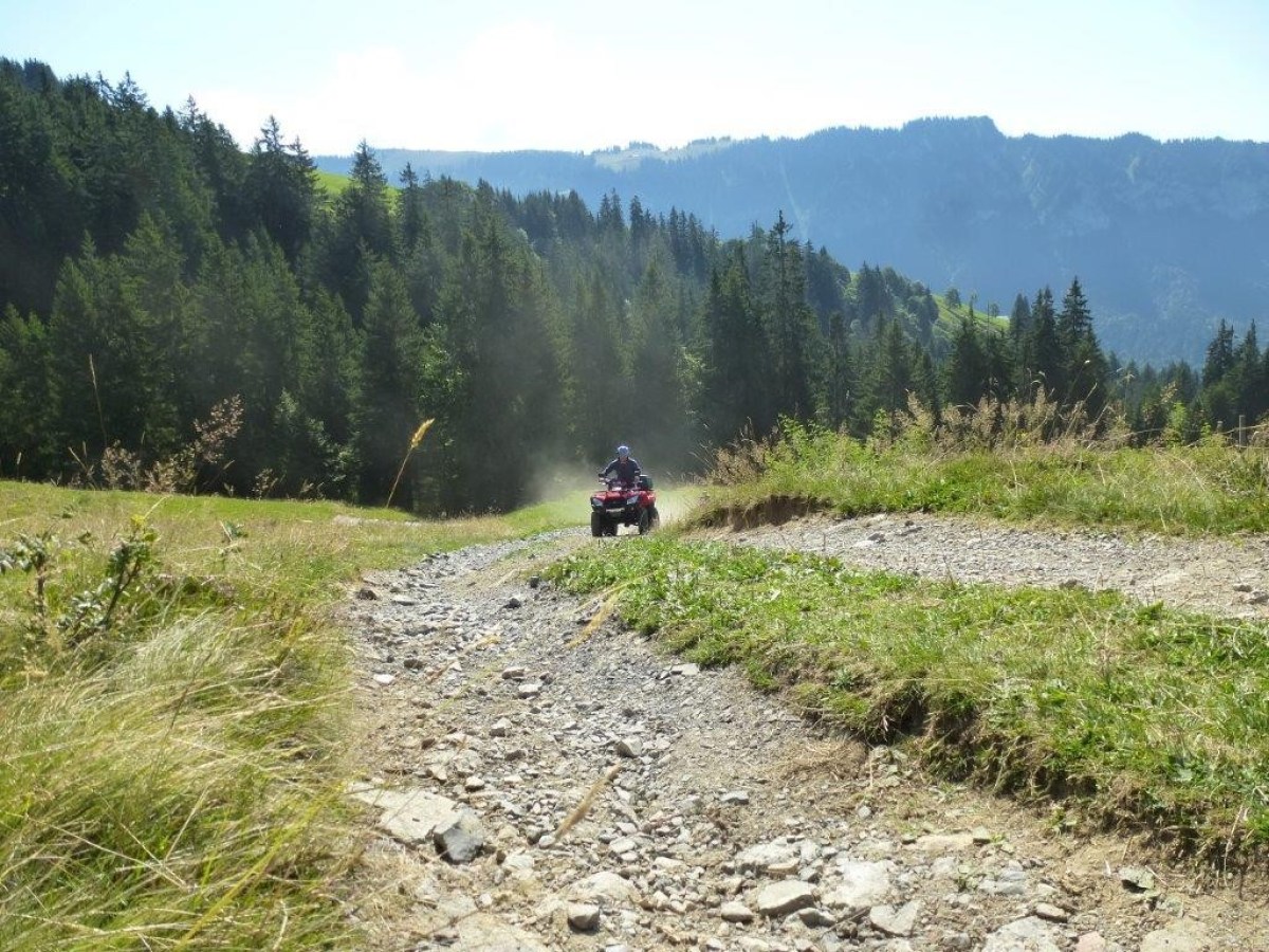 man riding a quad through a Swiss field and pine trees