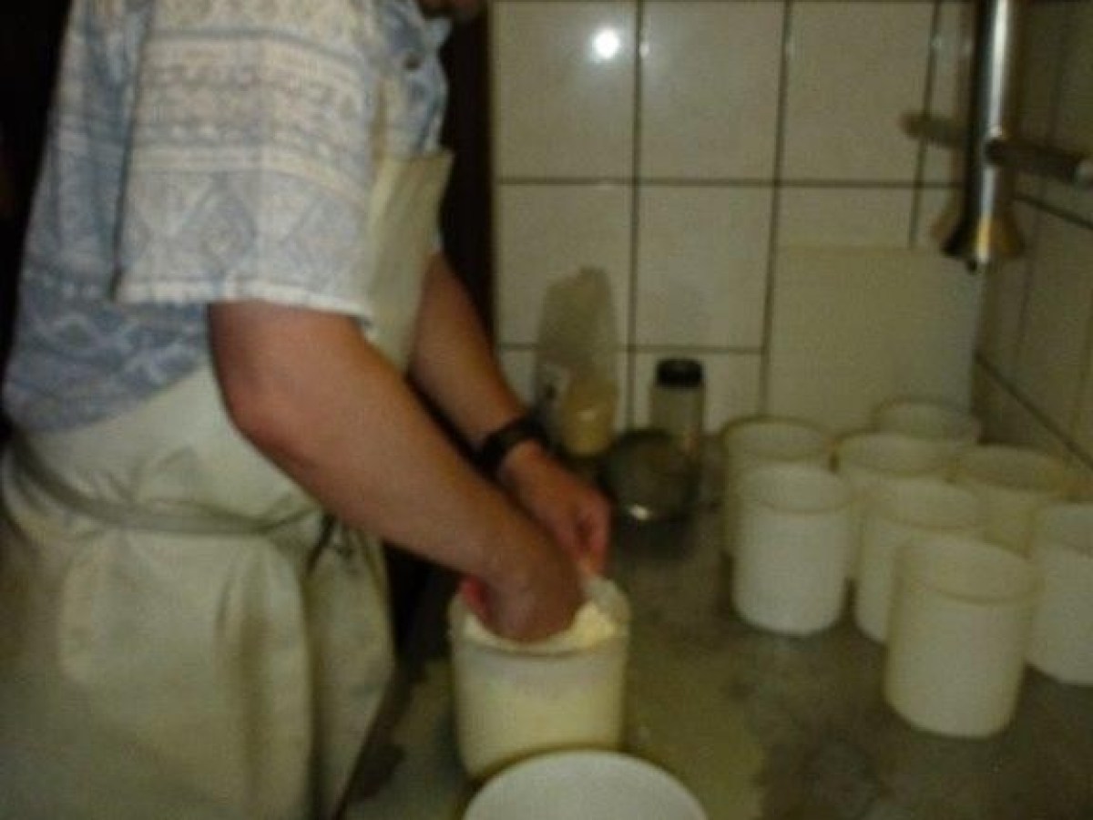 pressing the cheese into a bucket