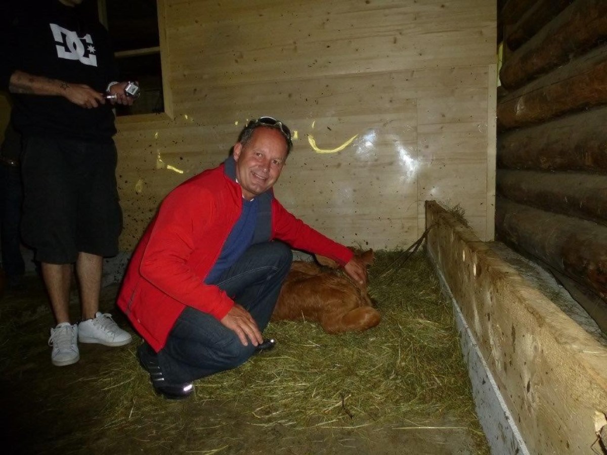 man with a brown baby cow
