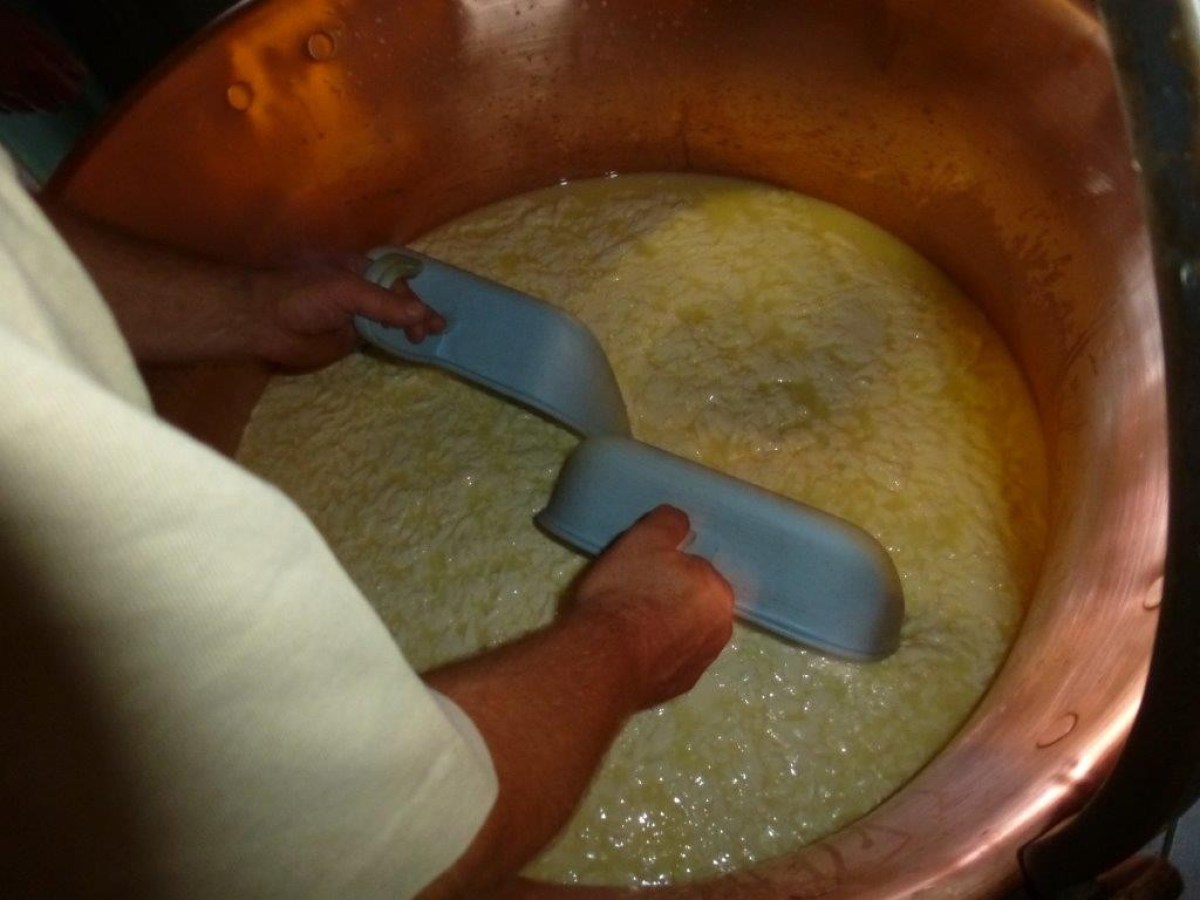 cheese in the making