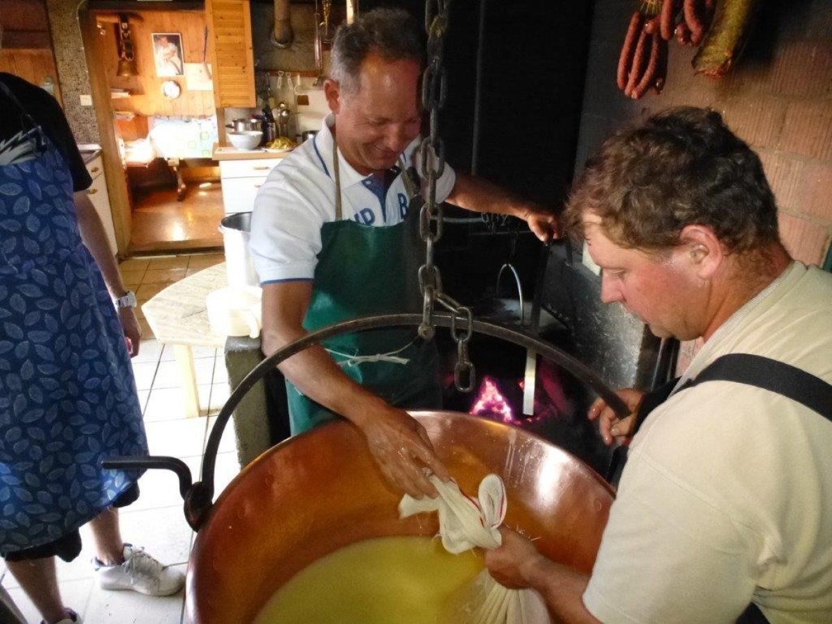 helping on the cheese making process
