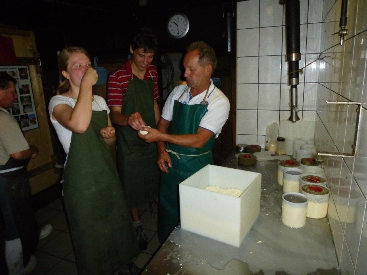 tasting the cheese
