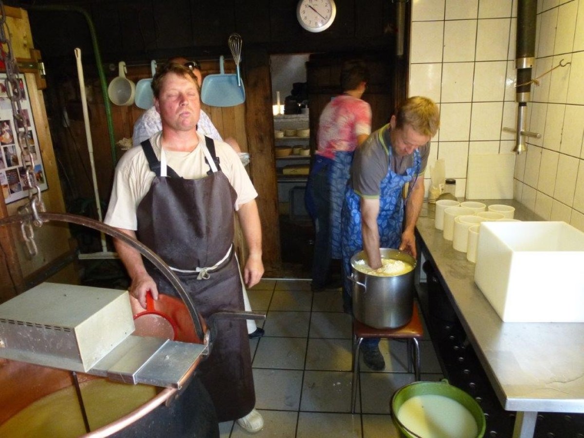 several people in a cheese making factory