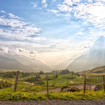 green fields in Switzerland