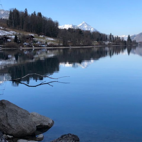 close up of a Swiss lake