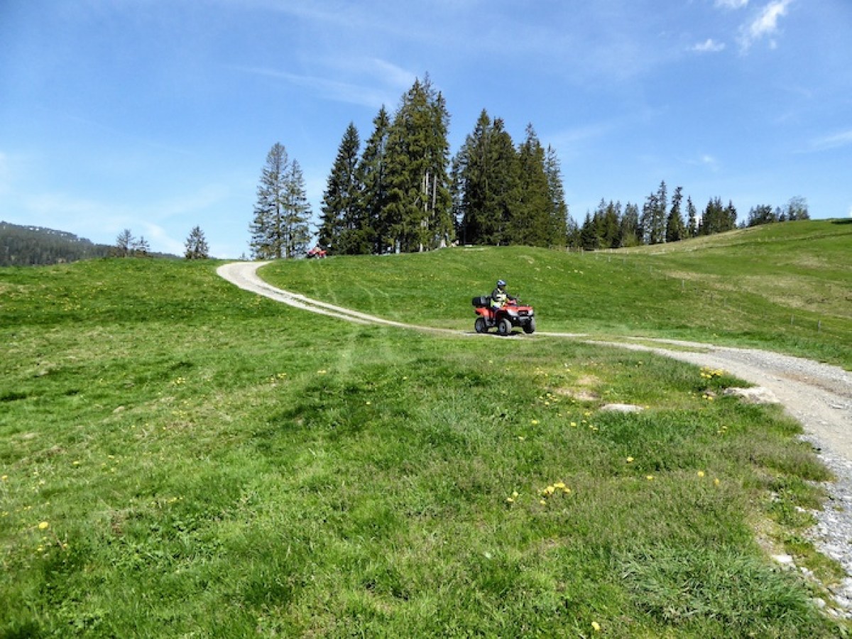 riding a quad through a green field